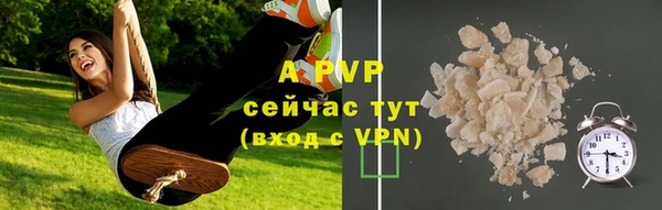 стаф Горняк