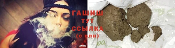 стаф Горняк