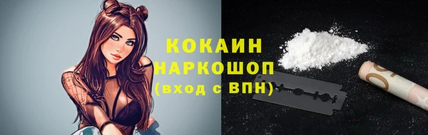 стаф Горняк