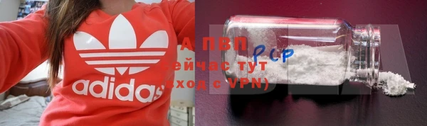 стаф Горняк