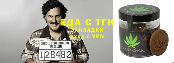 стаф Горняк