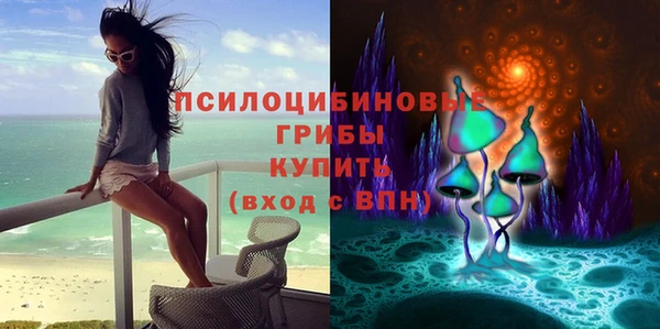 стаф Горняк