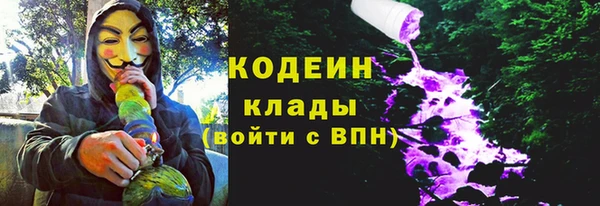 стаф Горняк